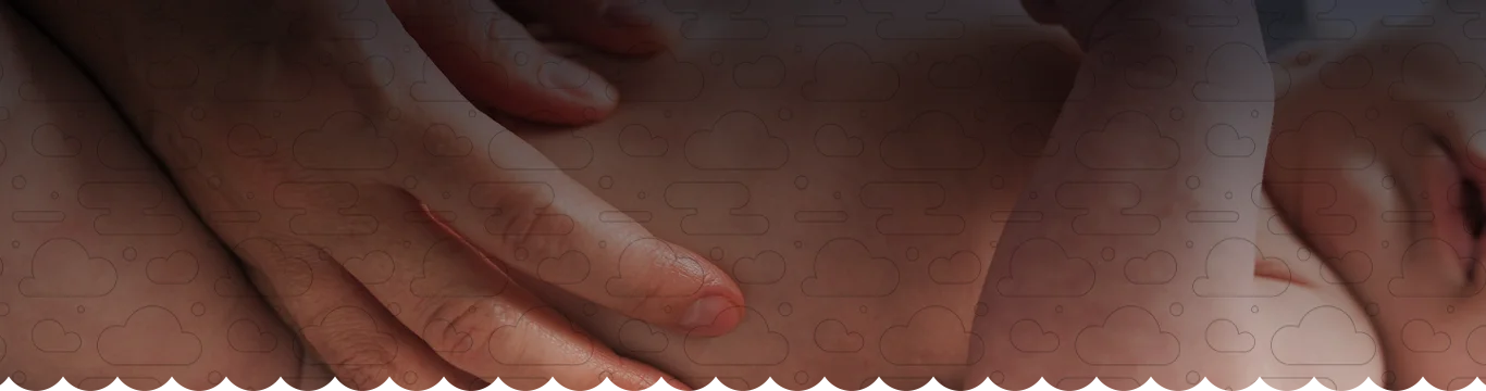 Contato